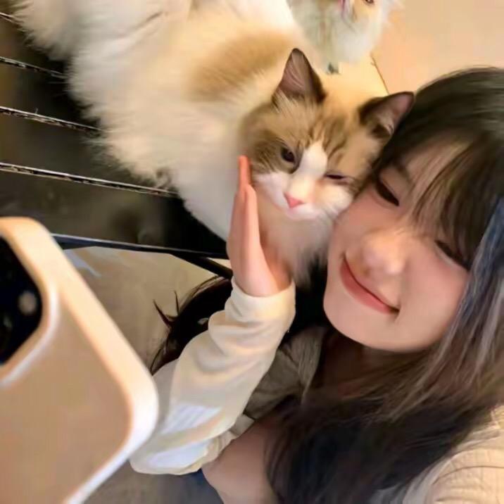猪猪少女