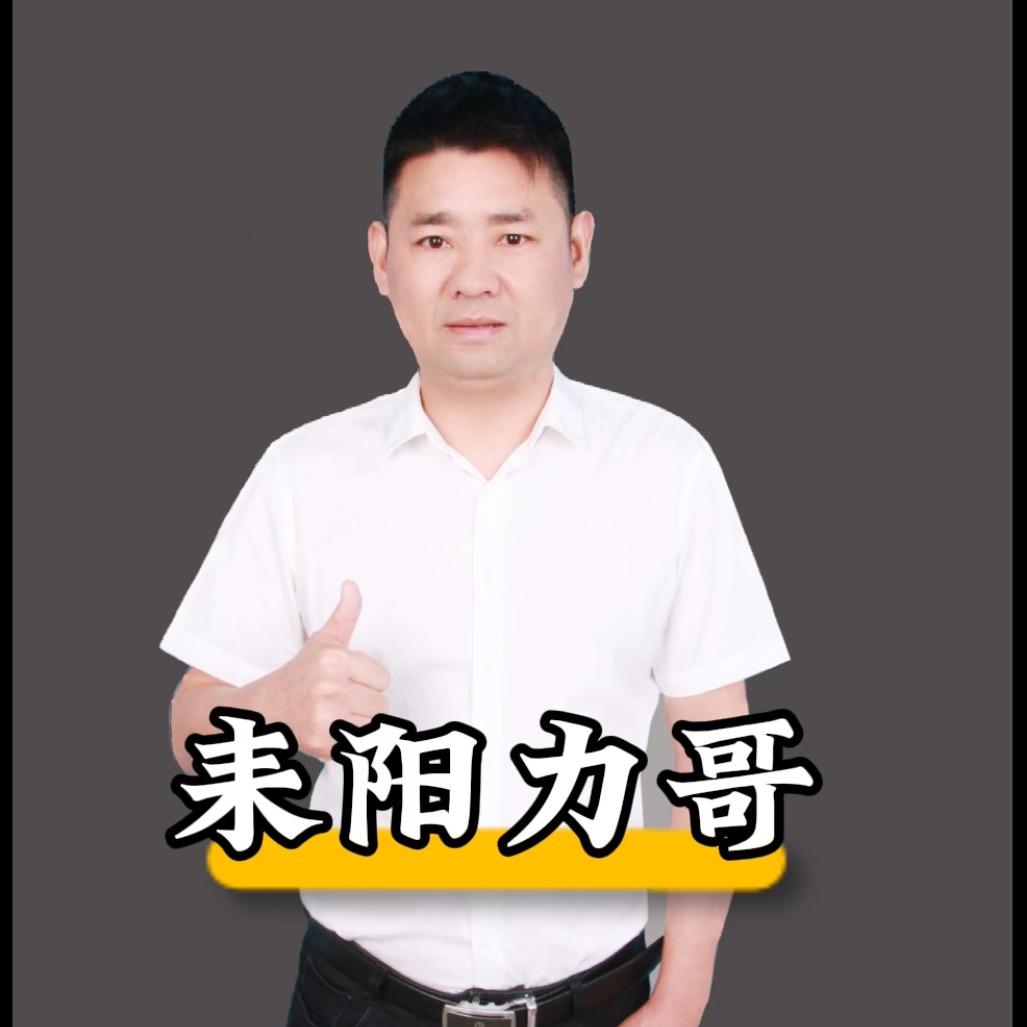 力哥汽车