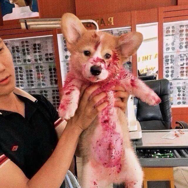 👉🤤👈