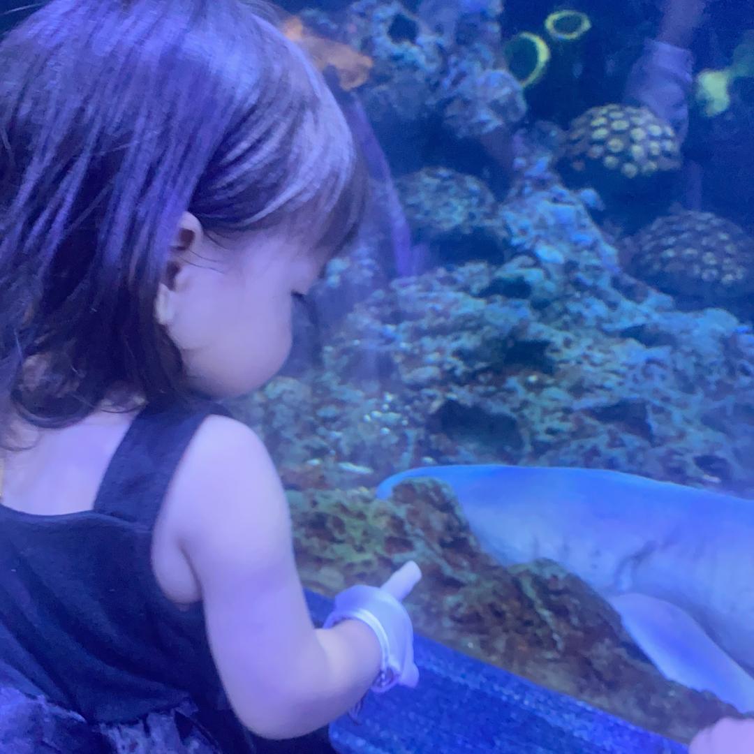 闪闪发光的一一哎✨✨