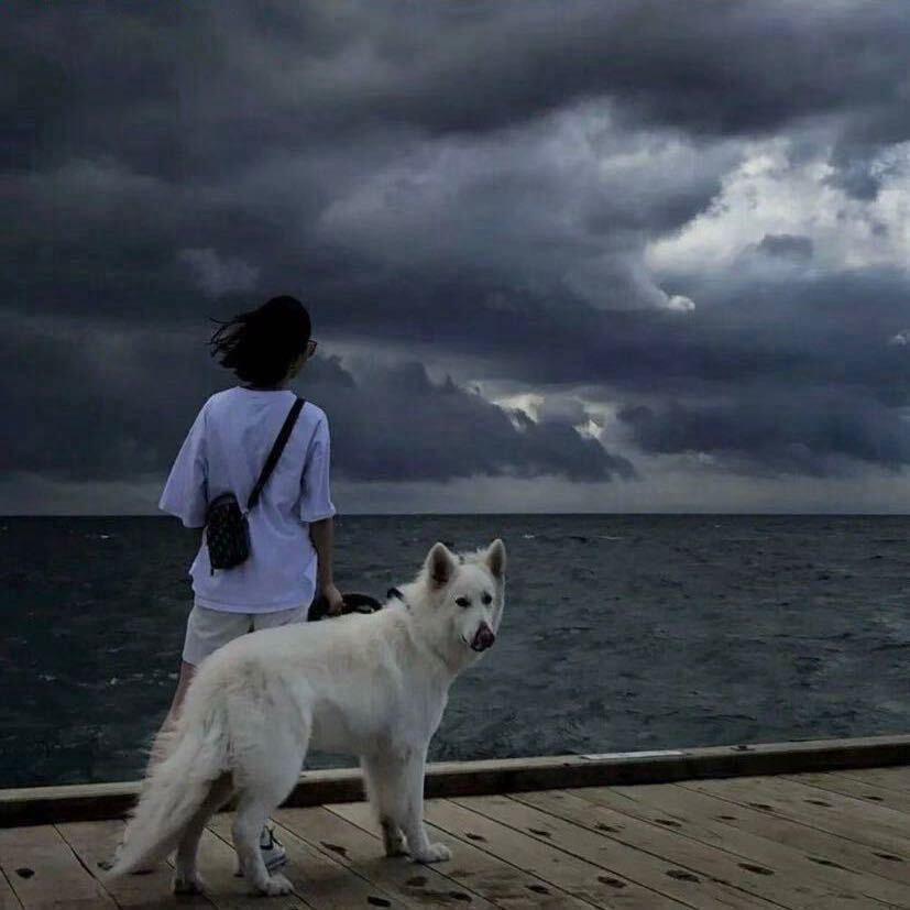 涵涵涵狮子🦁️