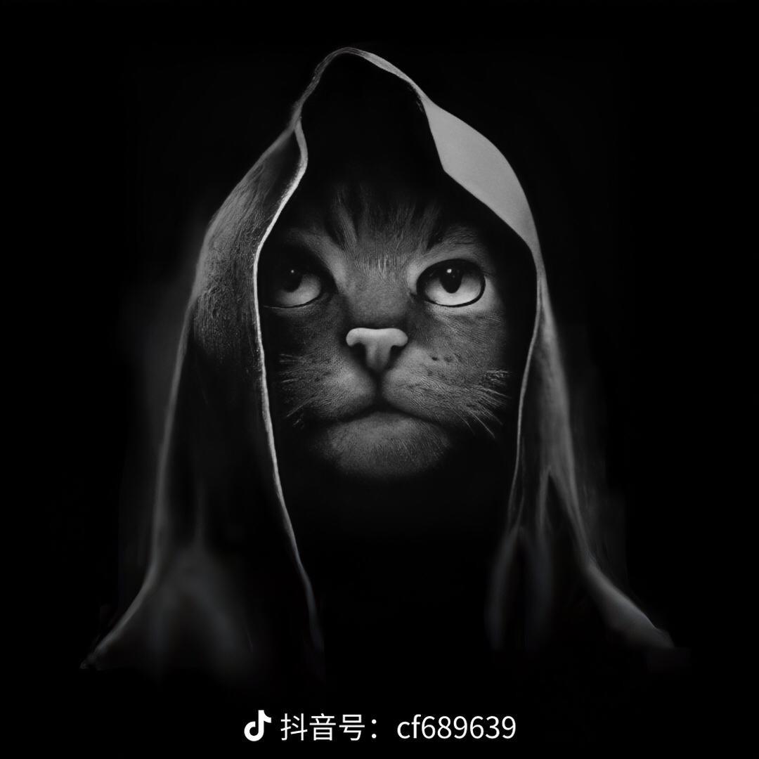 鱼的第⑧秒是失意