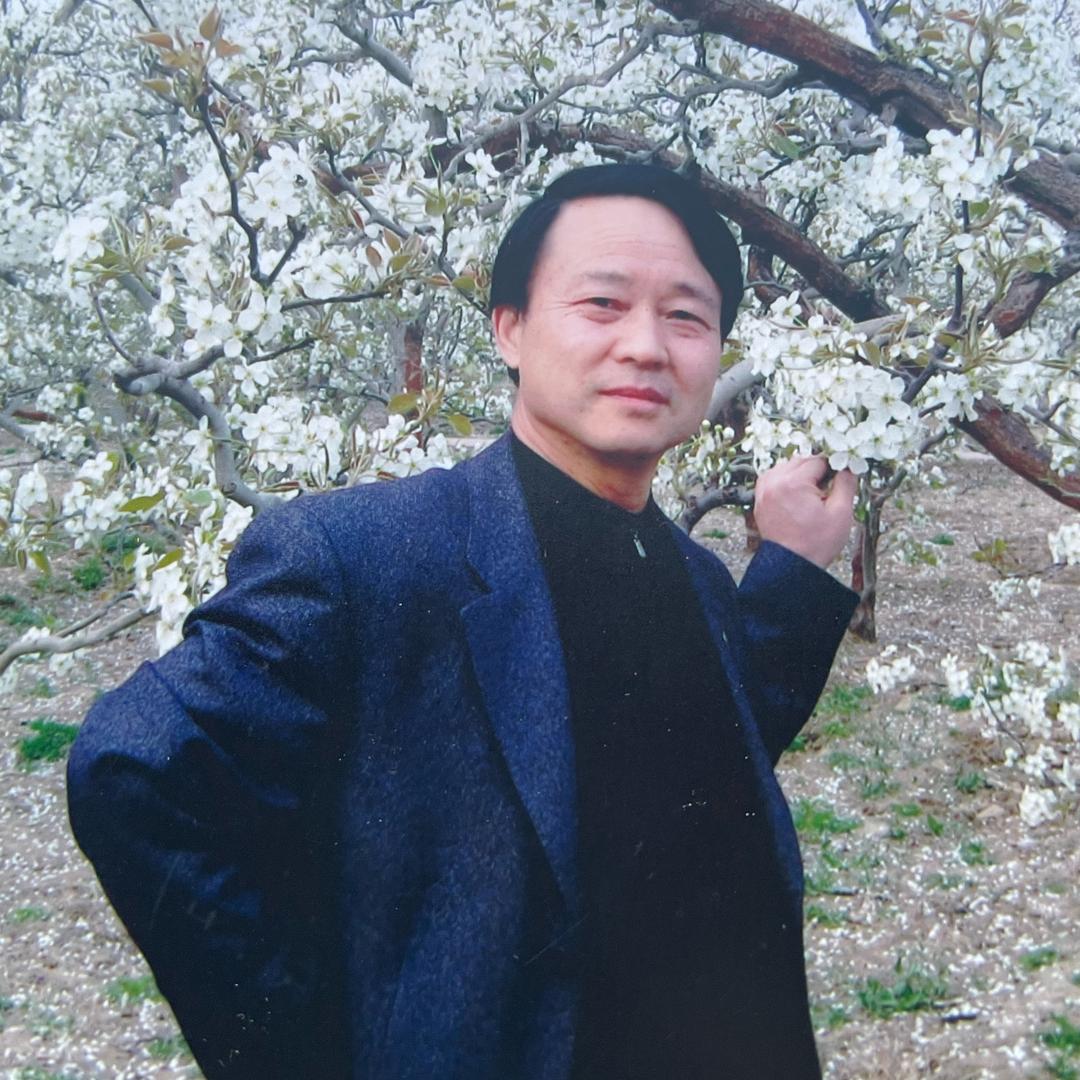 歌韵老胡