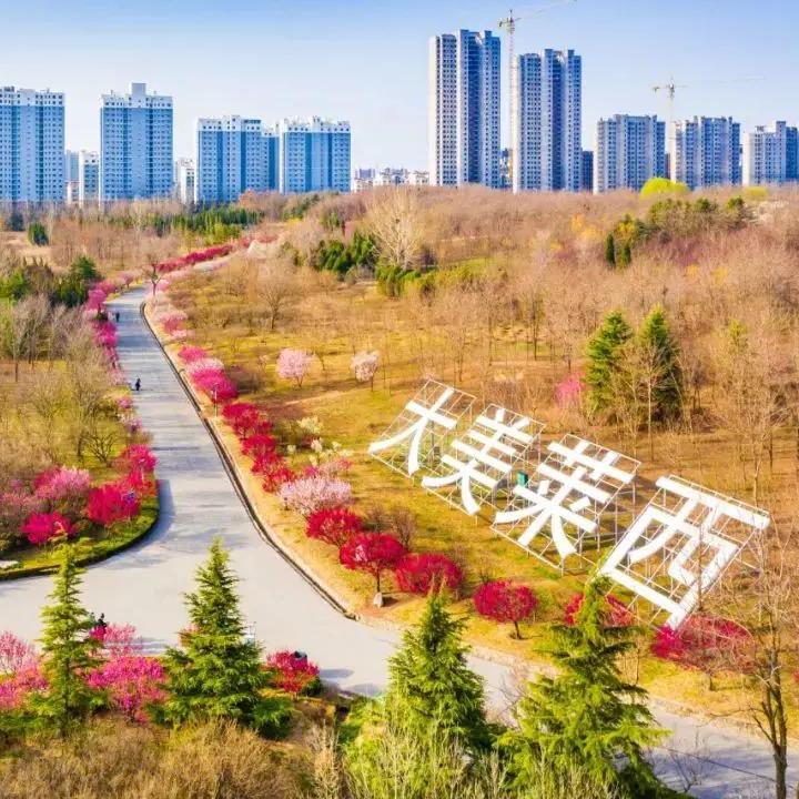 南知