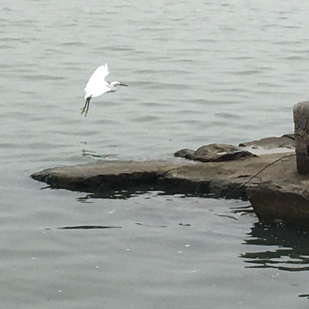 氵Bin