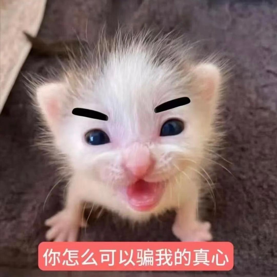 小狗大人（无畏契约）