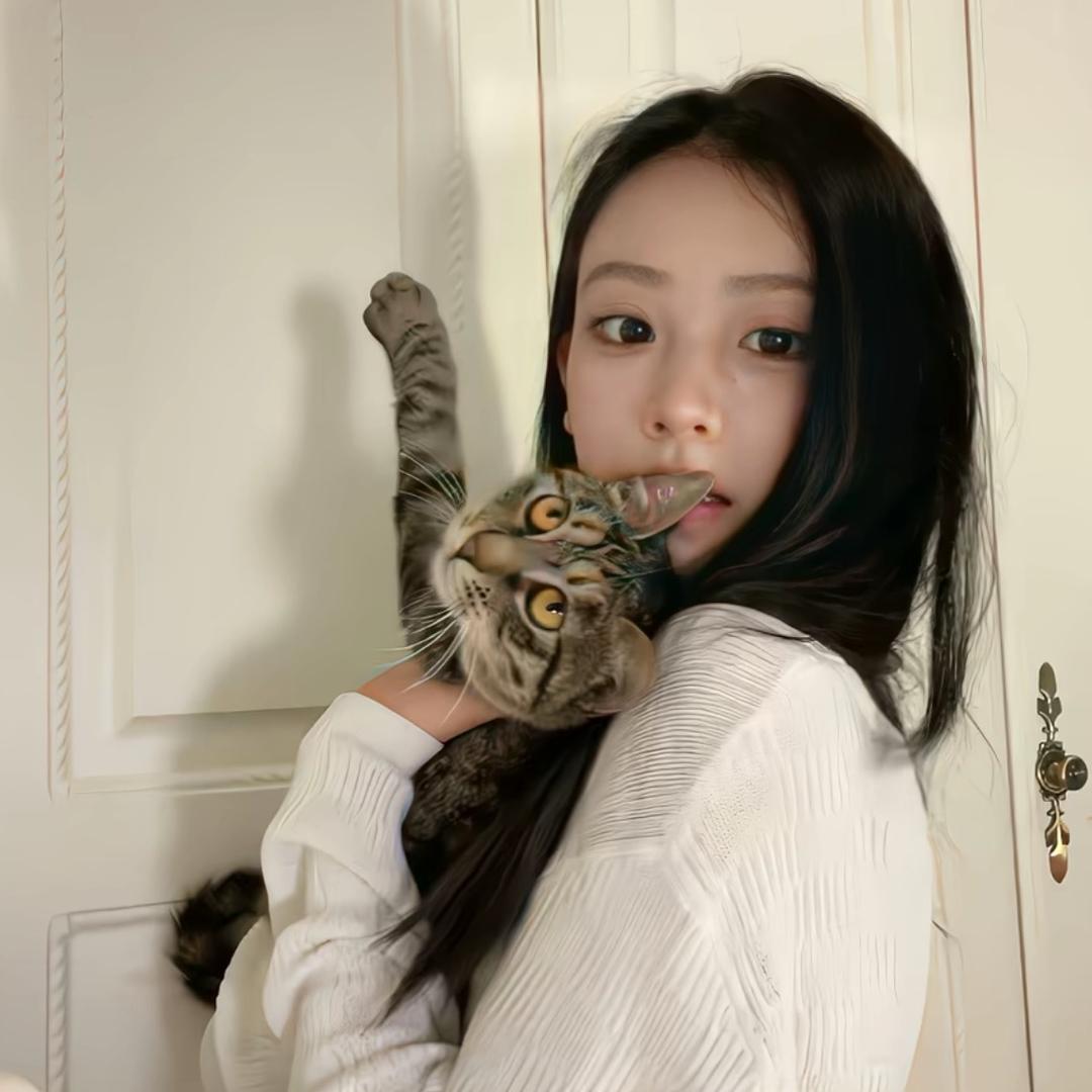 泡菜鱼