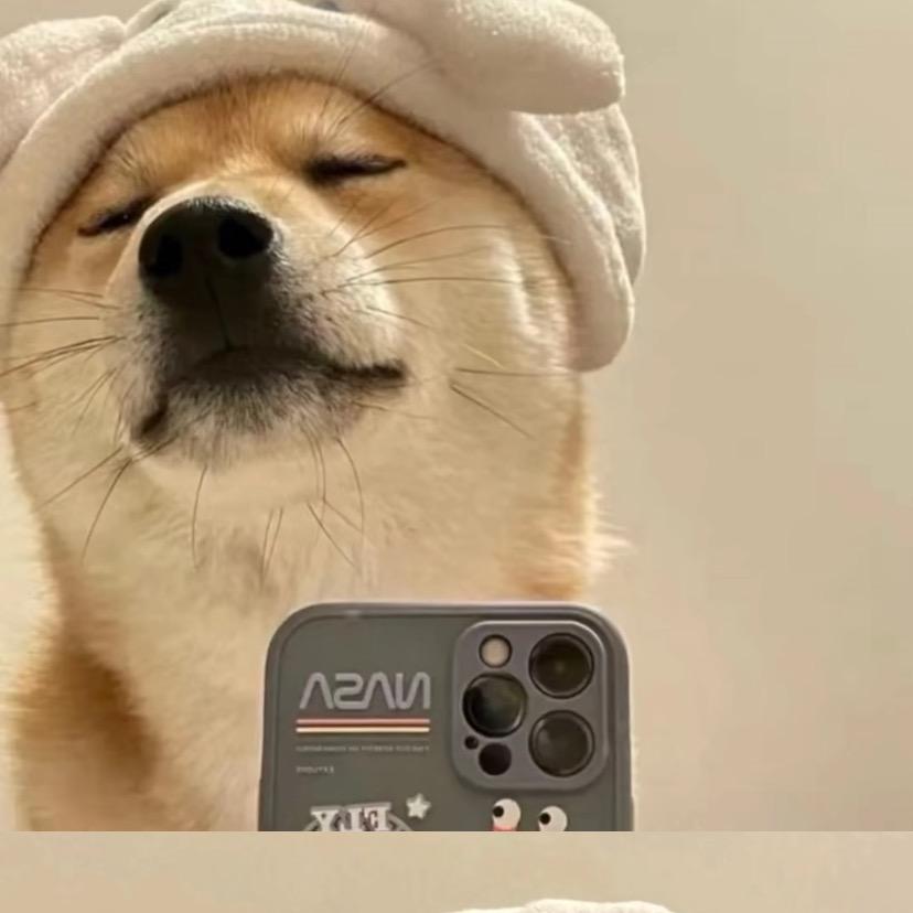 卧式
