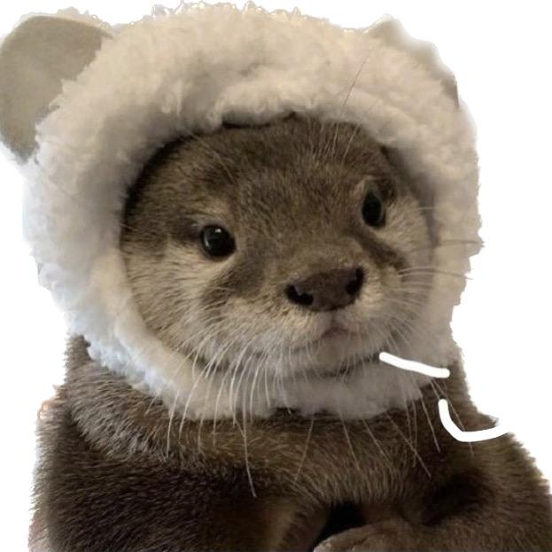 oTTer