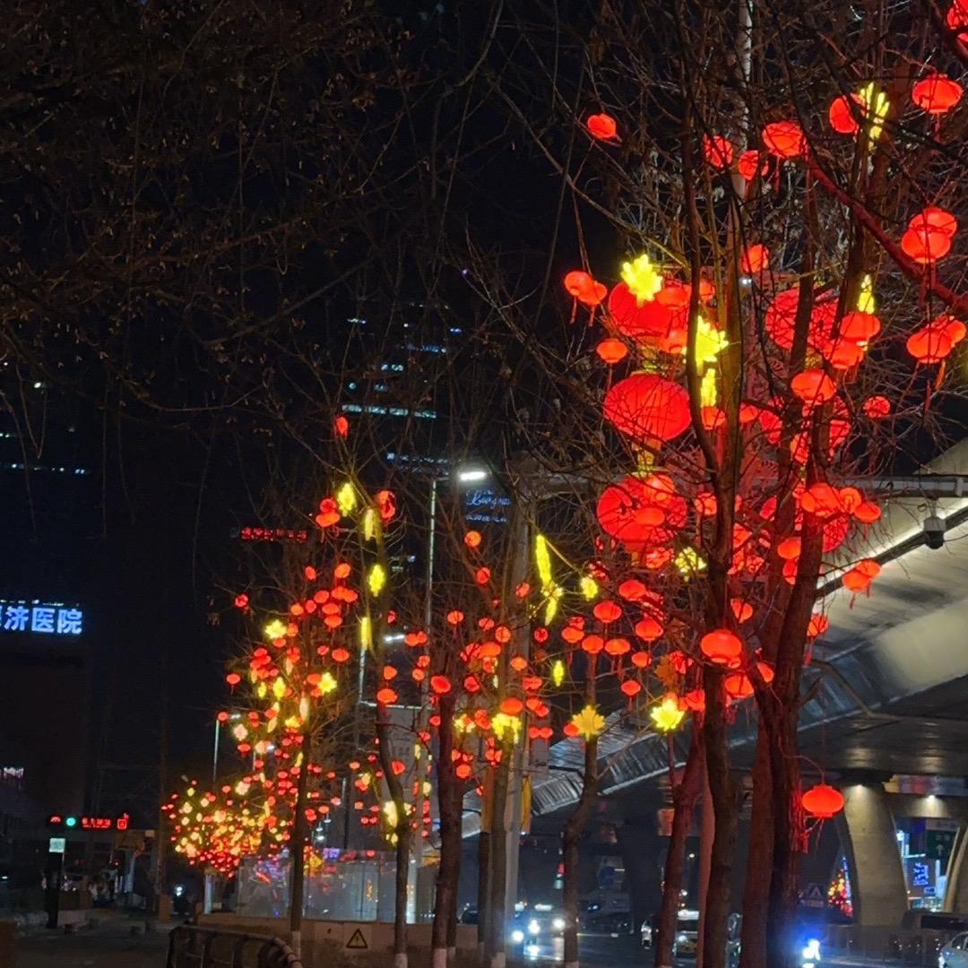 大陈陈