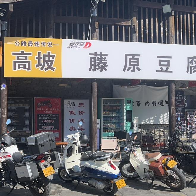 爱吃猫的鱼摆摆