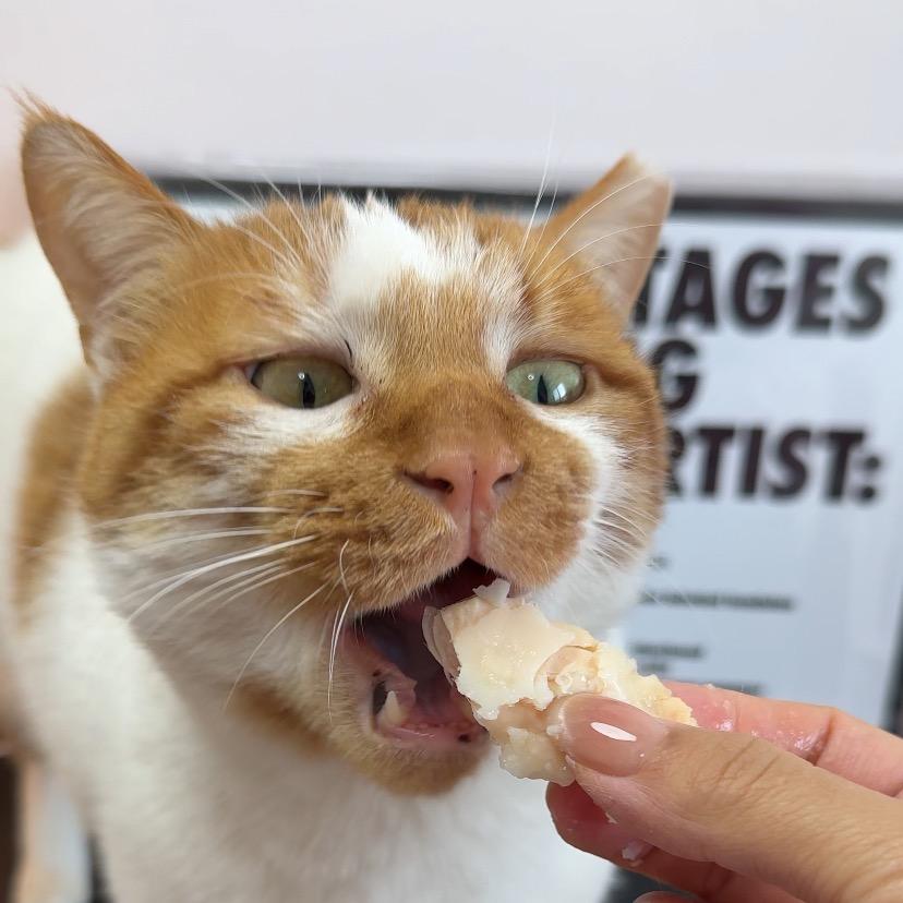 一万不用再流浪了