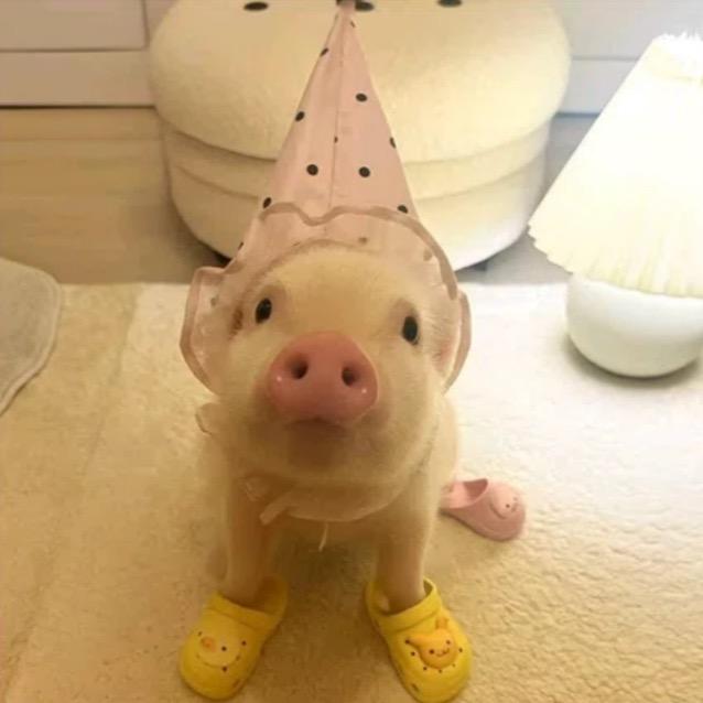 苏贝尔不想晒黑的小方🌚