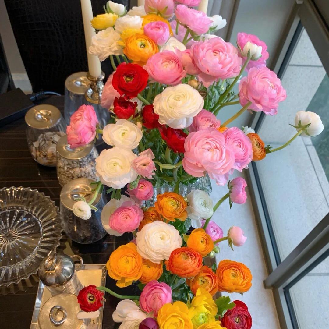 小海豚微胖女装