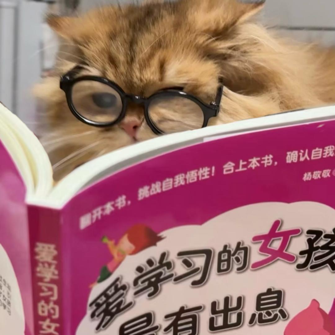 美味餐馆老板娘