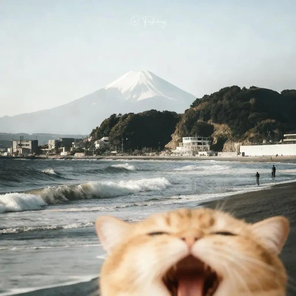 忧郁煲仔饭