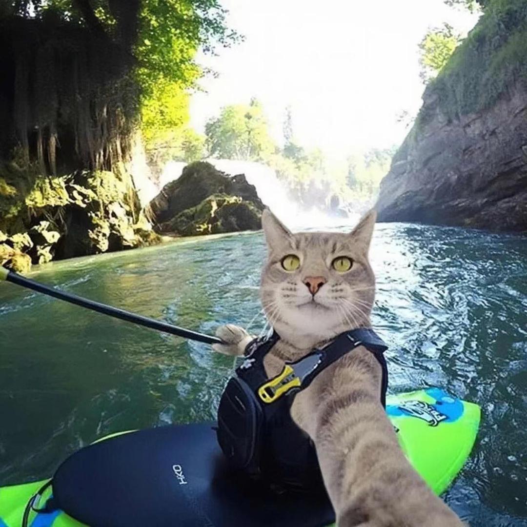 小凡赶海