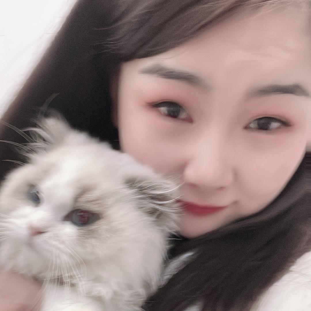 九月猫宠物