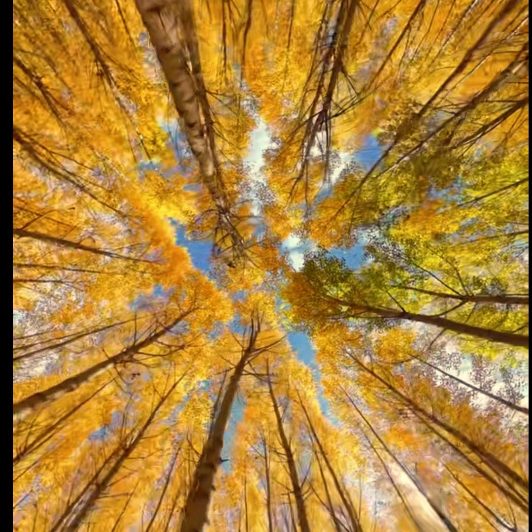 择一教育