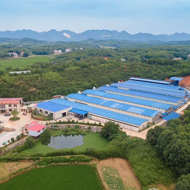 文凤农牧孵化场