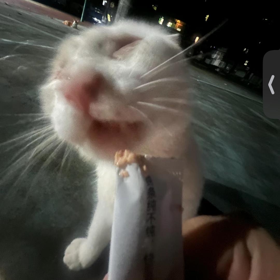 裴熙