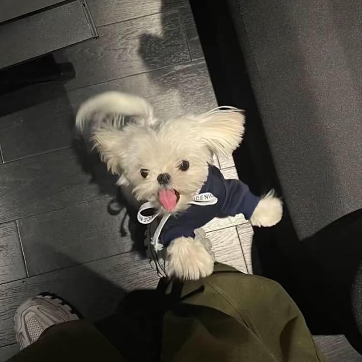 三元乙丙密封条