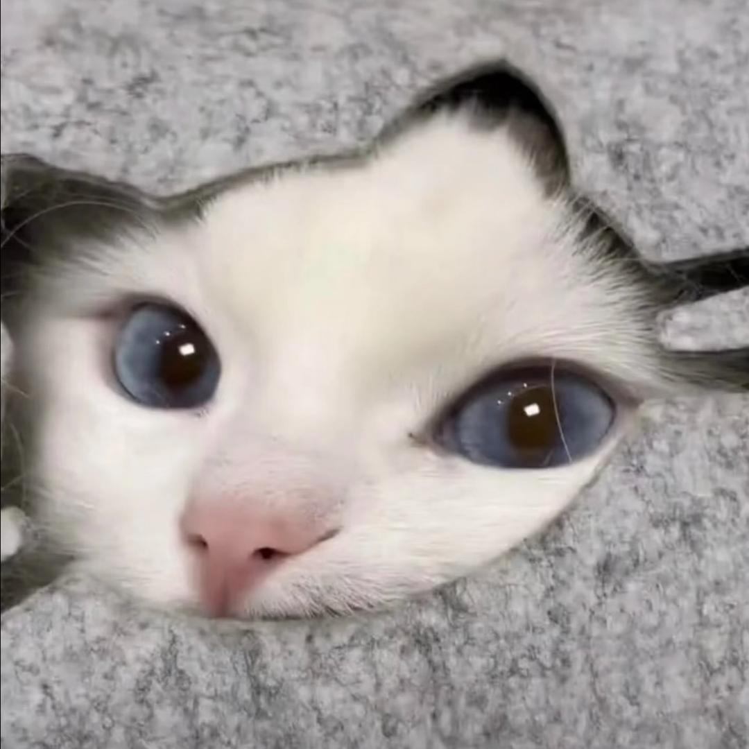 呜昂王