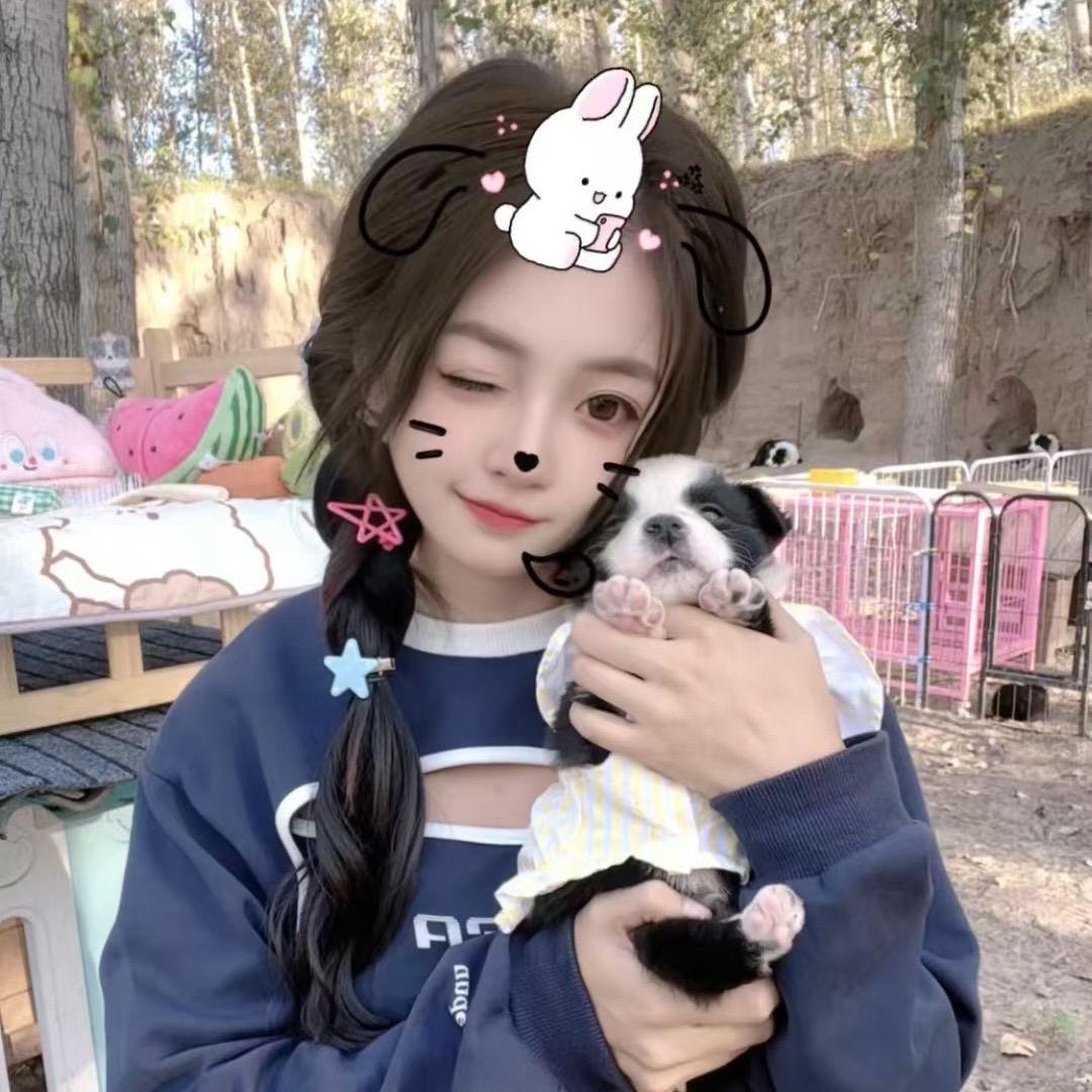 钰钰边牧