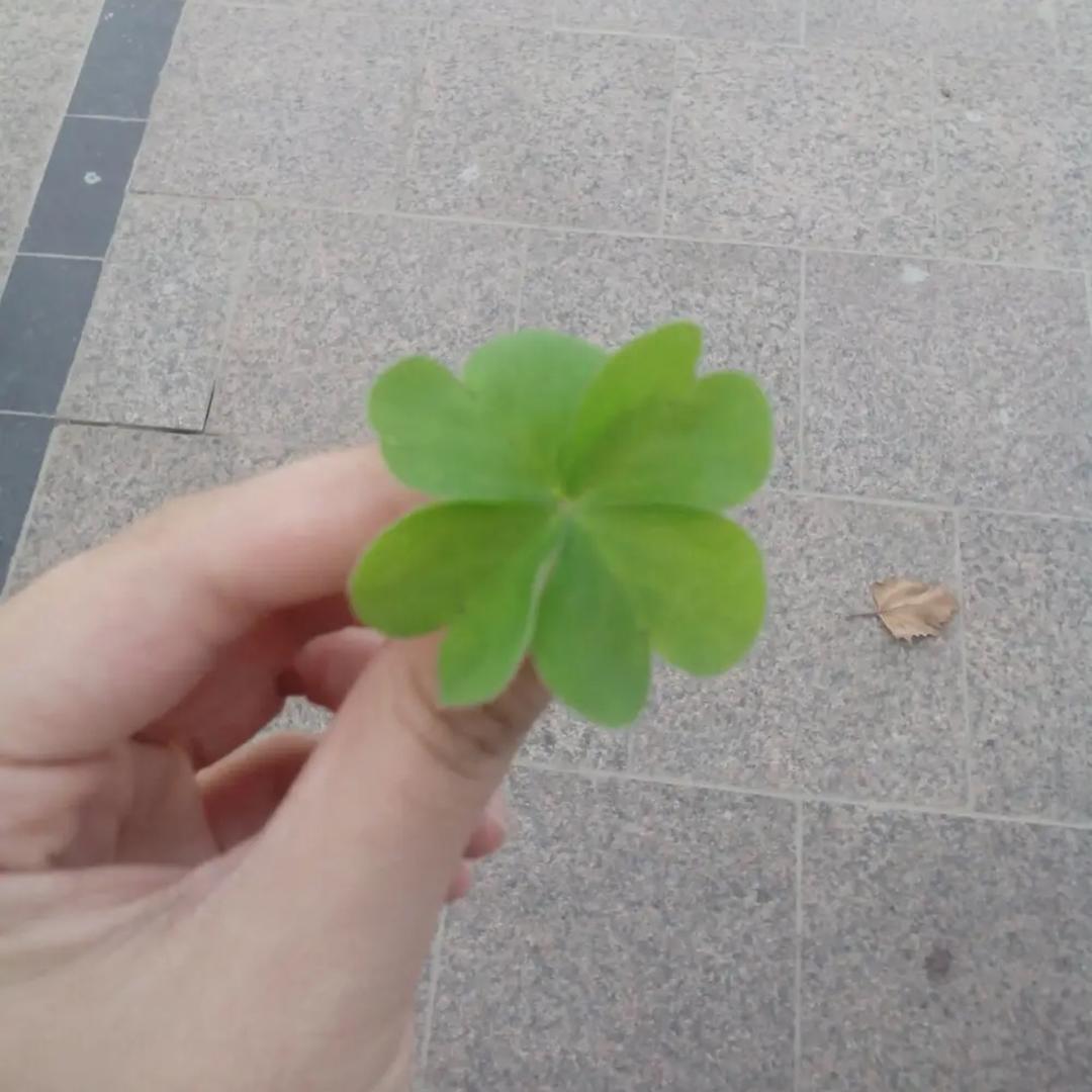 幸运每一天..