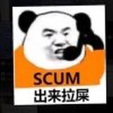 不爱吃豆芽的豆芽