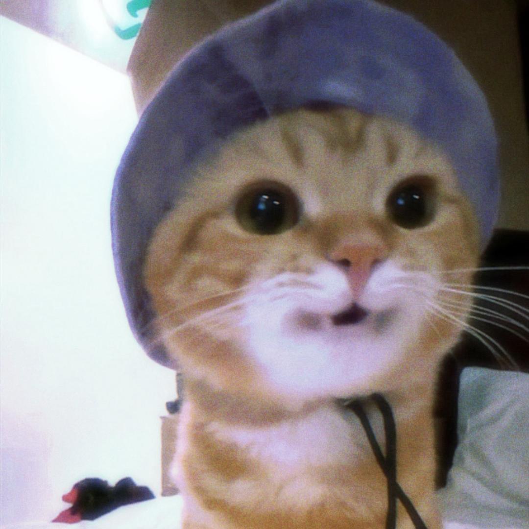 小猫晴太Z☡zᶻ