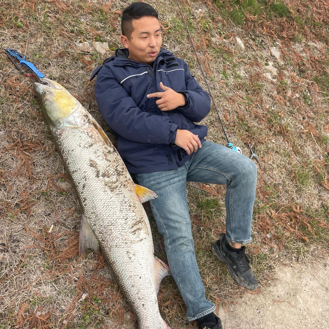杨林山水泥