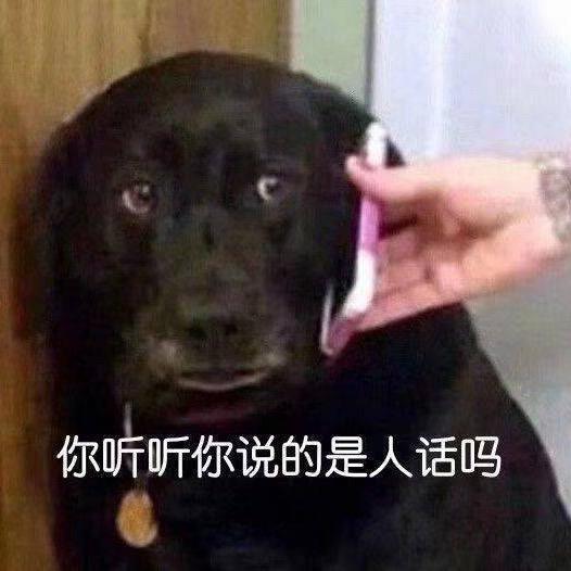 财神庇佑的赘婿叶欢头像