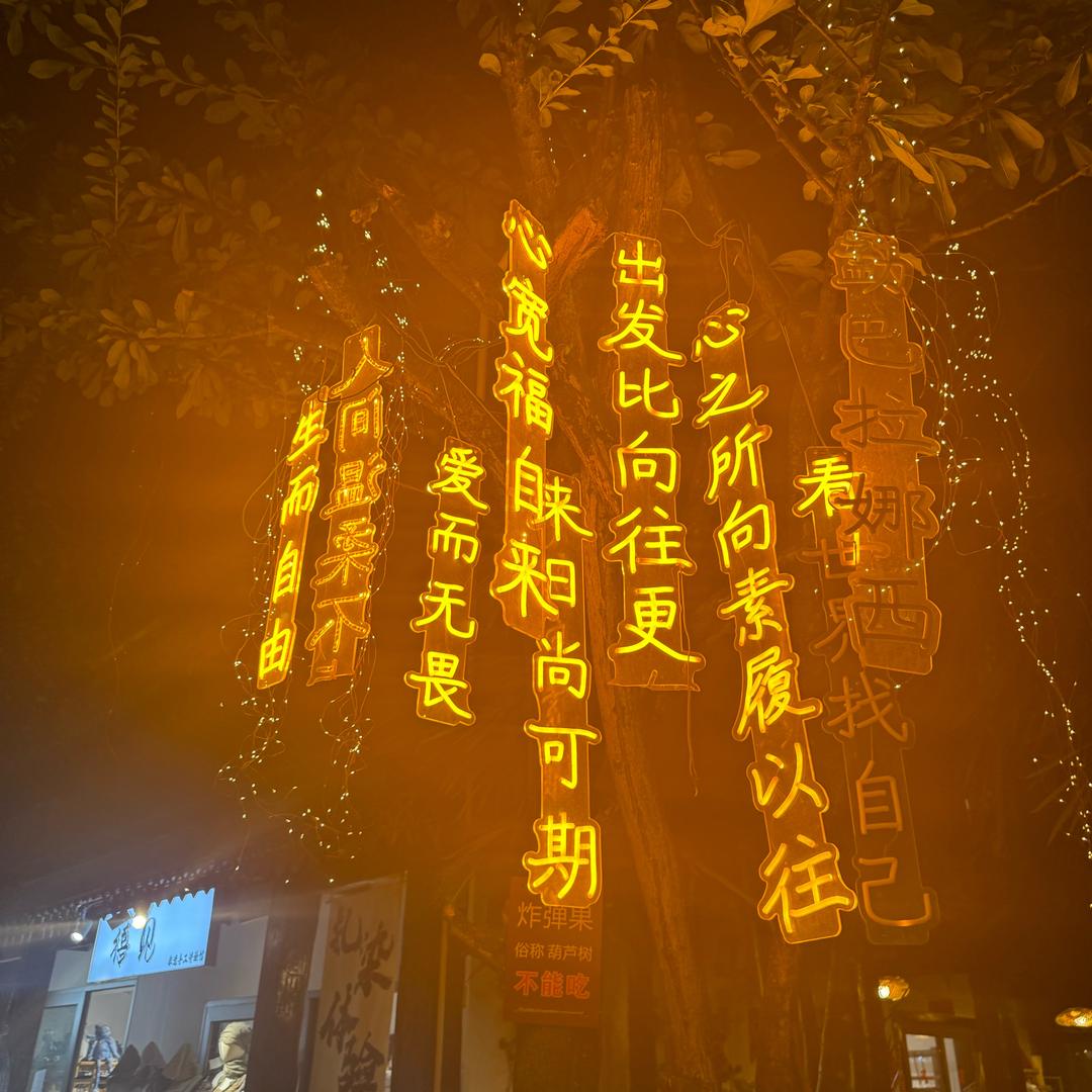 随心所欲*
