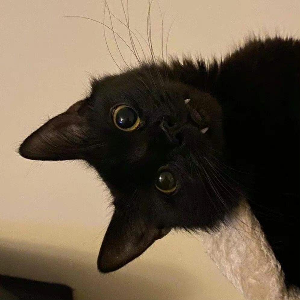 温州租房主理人