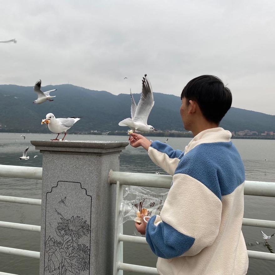 光