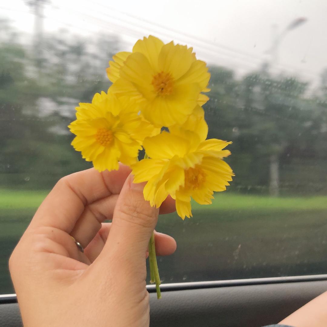 @༄范范ོྂཾ࿆ ࿐