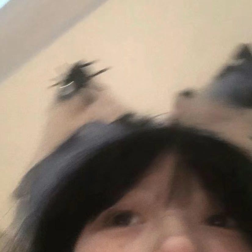 半个曲奇