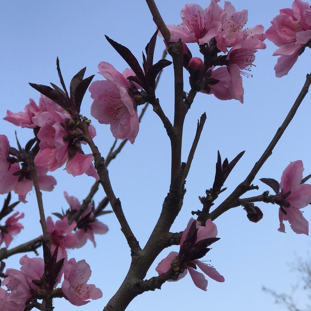 ꧁᭄ 💕沉💦默💕ꦿ᭄꧂