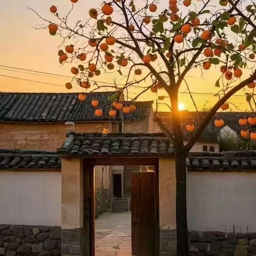 泳达育苗基地