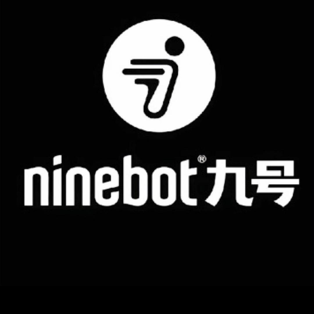 九号电动车(怀集梁村镇店)