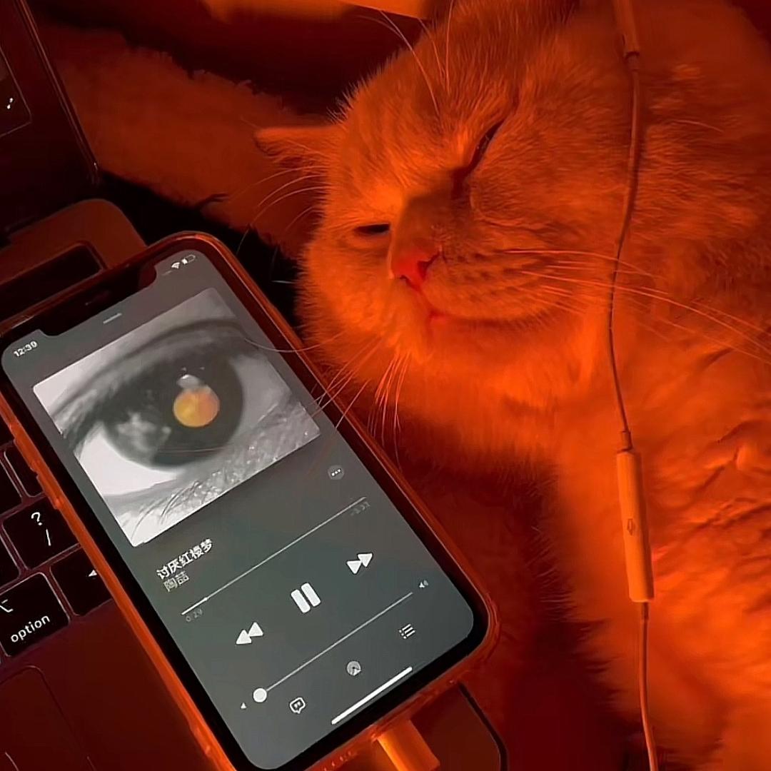 一名拥有中国护照的黑人男子