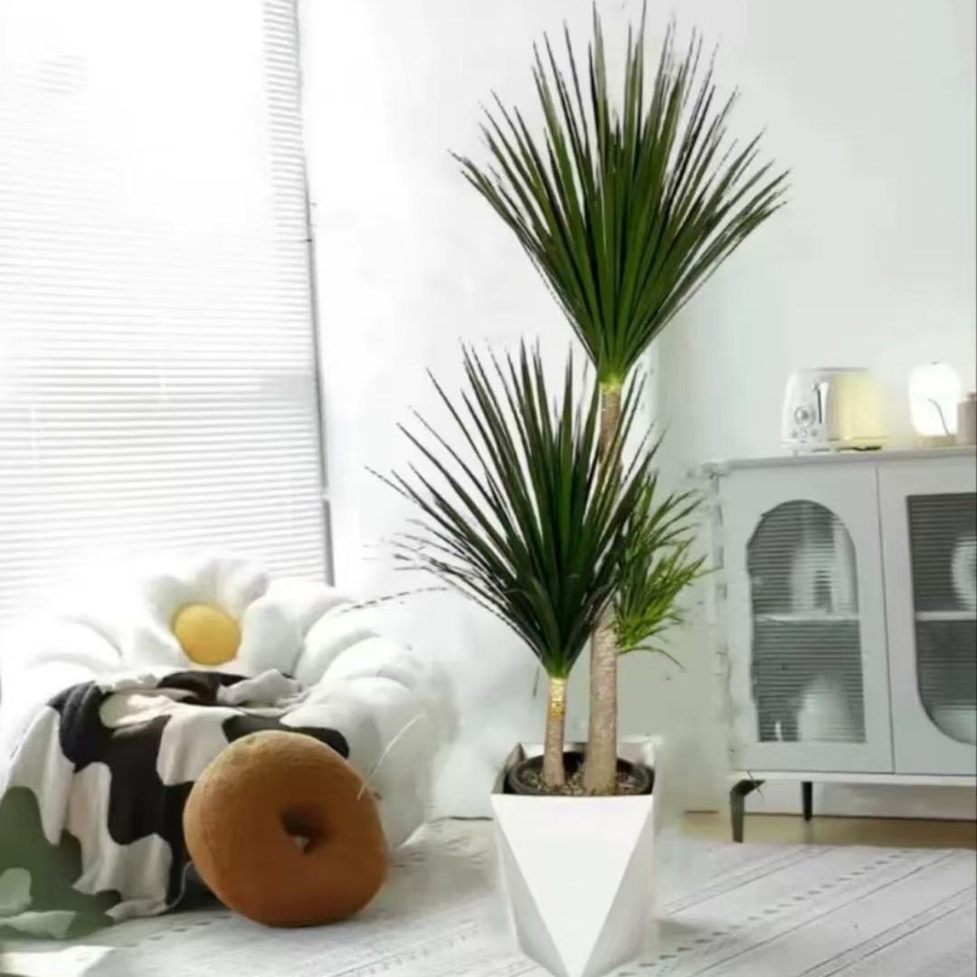 大型绿植花卉基地