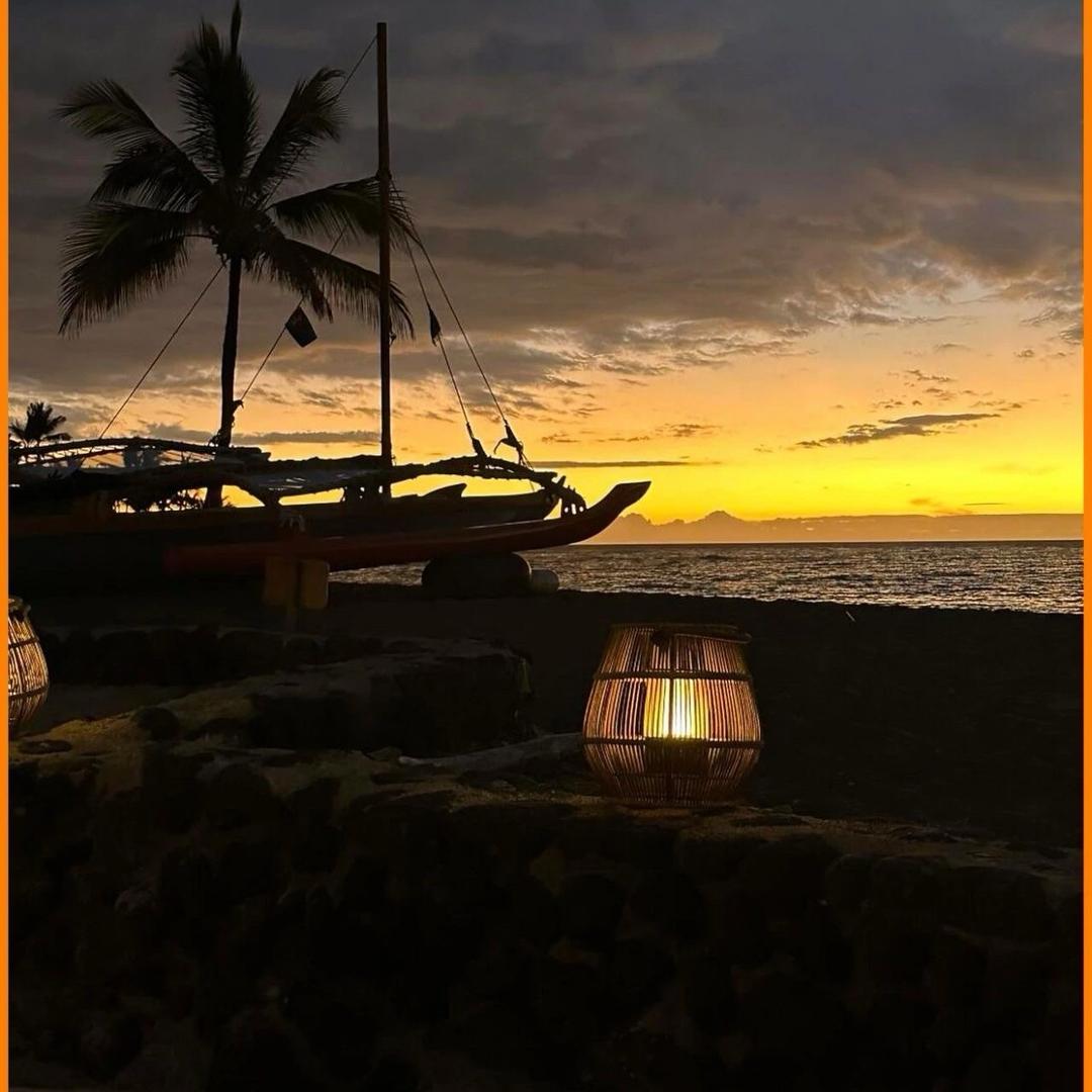 理智……抬头看