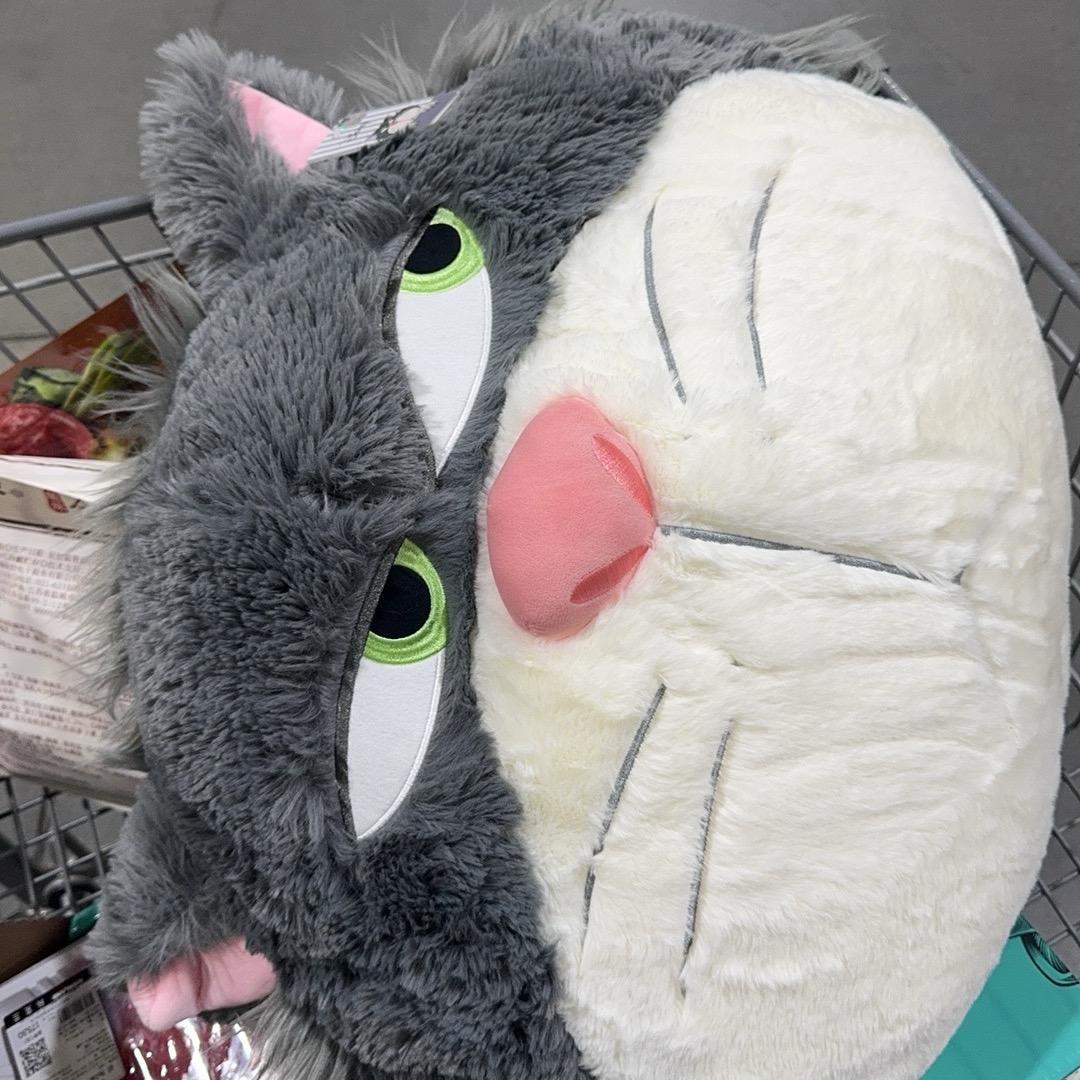 别偷我袈裟🙈