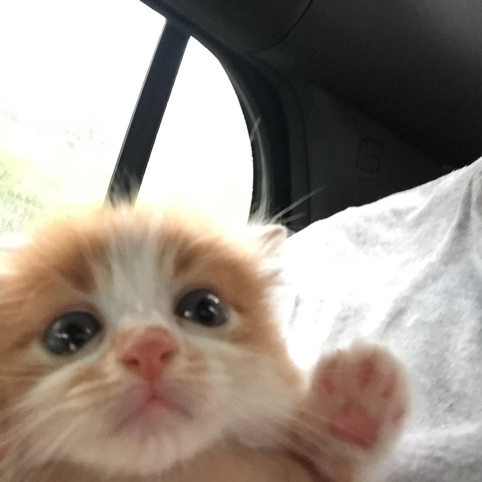 Milo