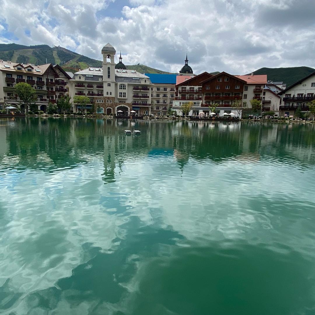 浪浪仙