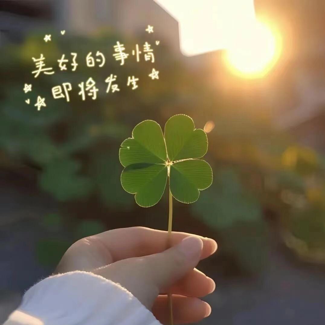 纤秀妹妹