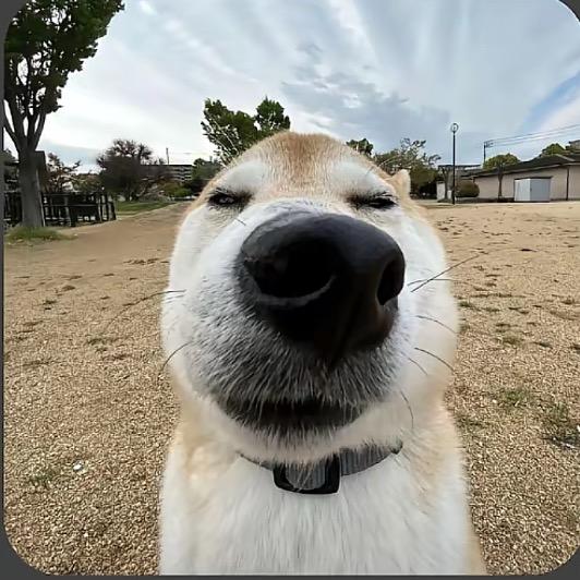 南天门