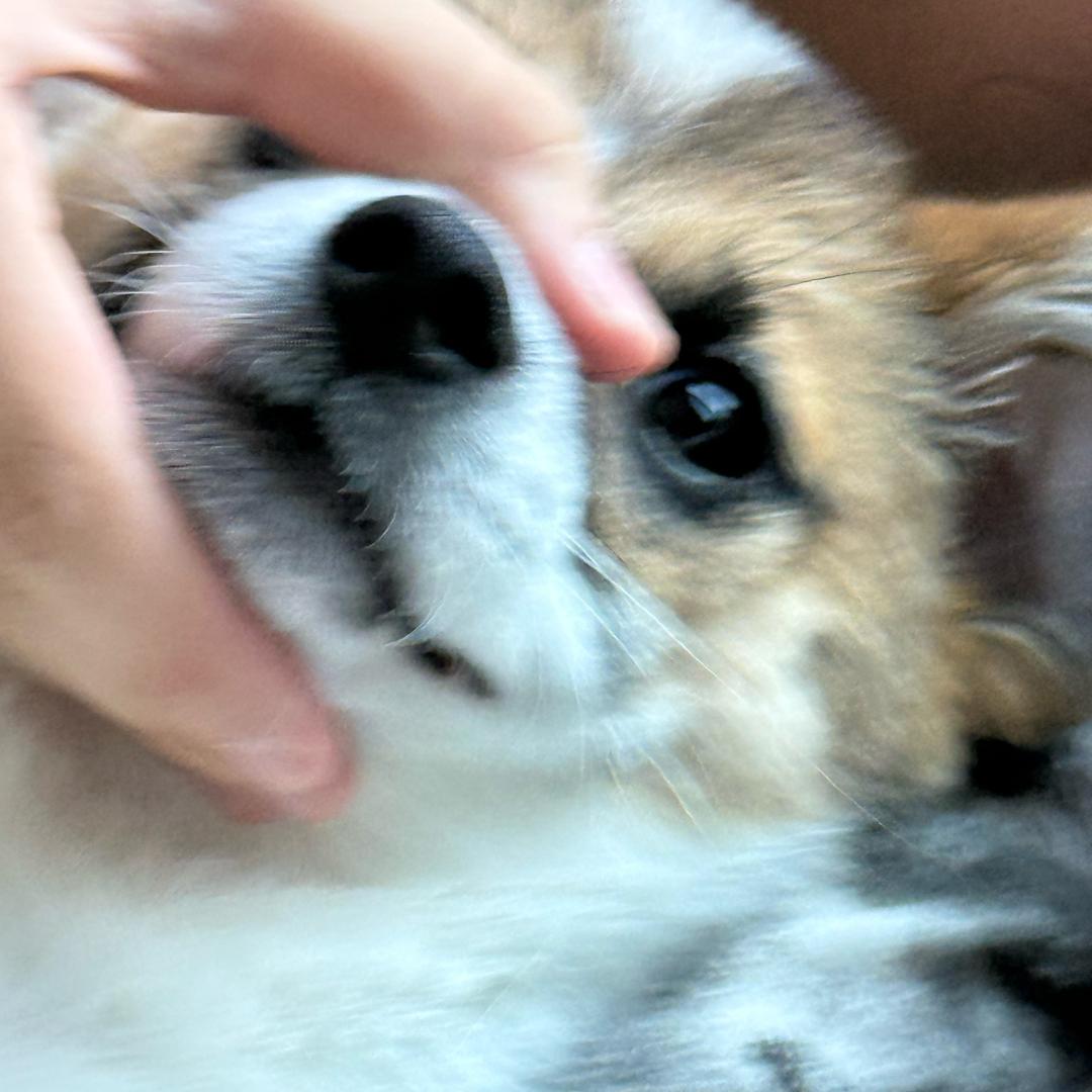 孤寡孤寡